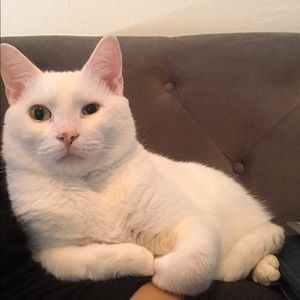 Meet your Posher, Cindy